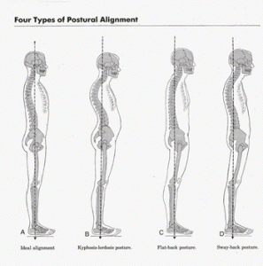 postures-pilates